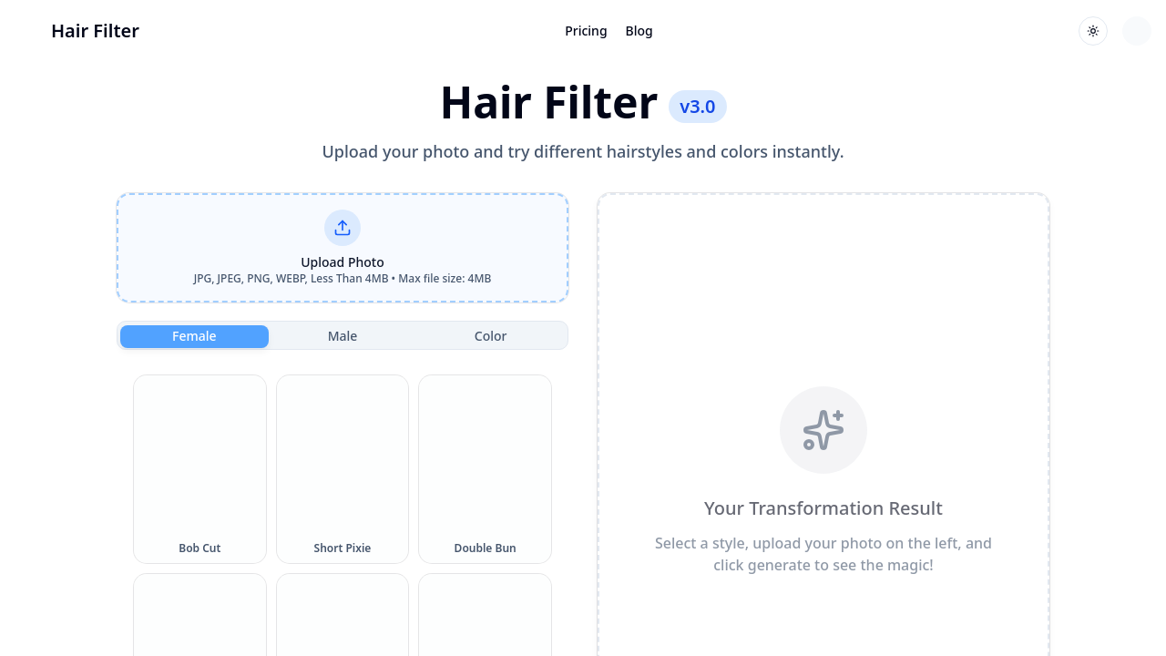 Hair Filter